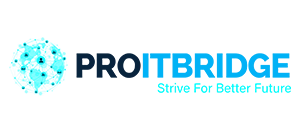proitbridge-digital-marketing-consultant